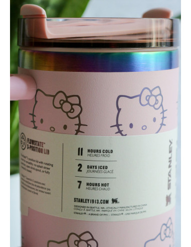 ماگ استنلی هلو کیتی