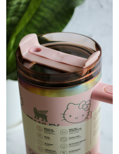 ماگ استنلی هلو کیتی