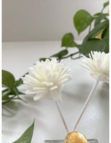 خوشبو کننده هلو کیتی