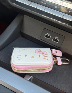 جاسوئیچی هلو کیتی