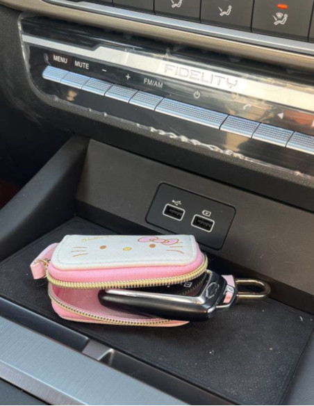 جاسوئیچی هلو کیتی