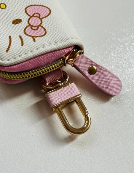 جاسوئیچی هلو کیتی