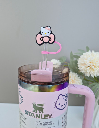 سر نی تامبلر استنلی برای جلو گیری از گرد و غبار