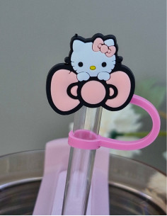 سر نی تامبلر استنلی برای جلو گیری از گرد و غبار