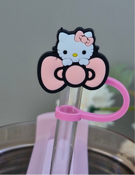 سر نی تامبلر استنلی برای جلو گیری از گرد و غبار