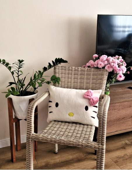 کوسن بالشتی هلو کیتی