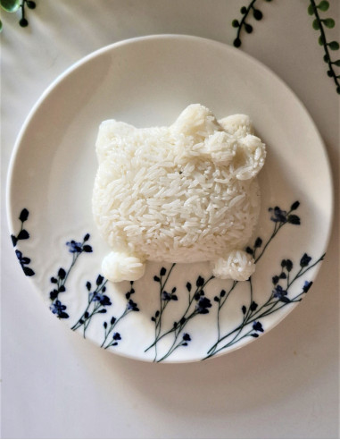 قالب برنج هلو کیتی