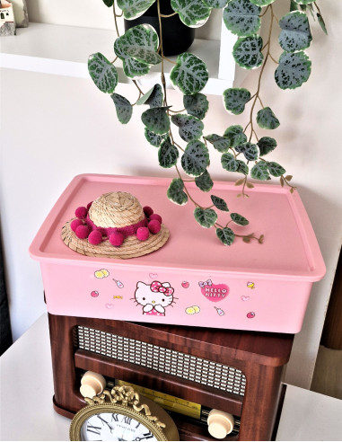 نظم دهنده هلو کیتی