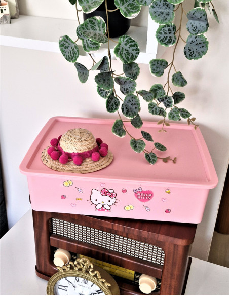 نظم دهنده هلو کیتی