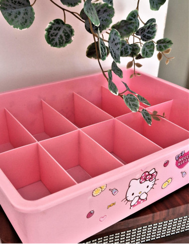 نظم دهنده هلو کیتی