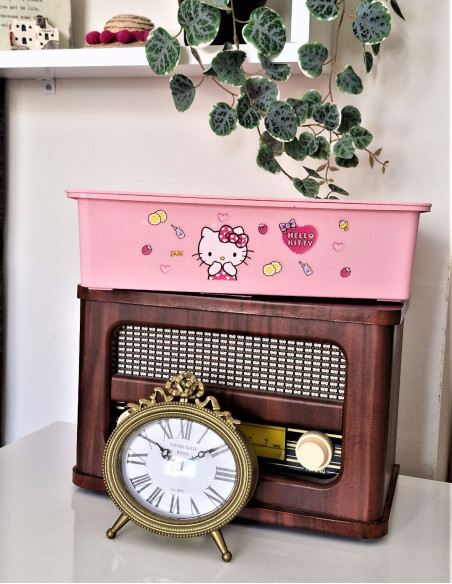 نظم دهنده هلو کیتی