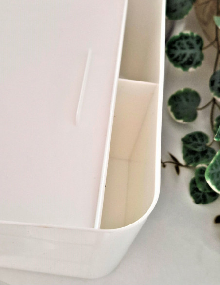 کشو نظم دهنده هلو کیتی