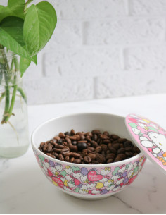 کاسه هلو کیتی 2